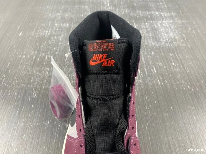 Jordan Gore-Tex Air Element 1 DB2889-500 0724